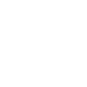Finanzen Icon