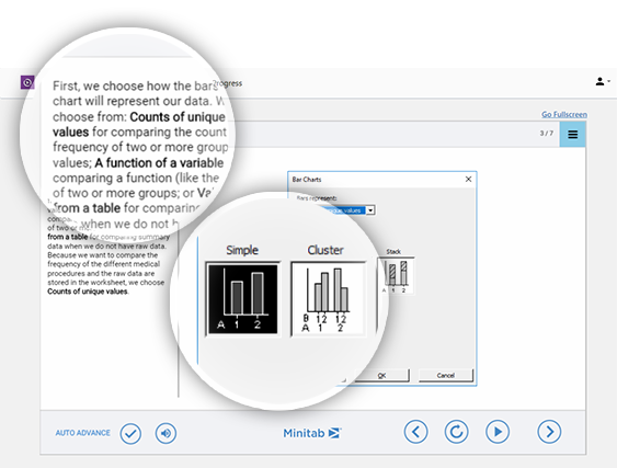 Die Minitab Statistical Software erläutert Balkendiagramme und Variablen.